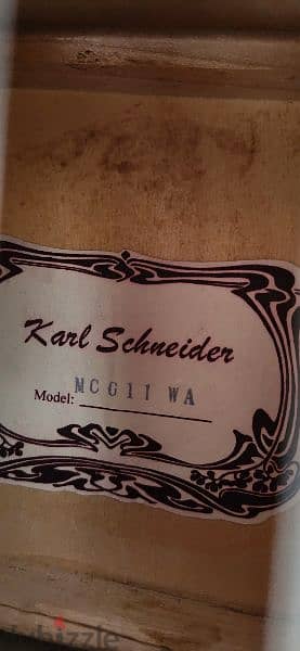 Guitar Karl Schneider 5
