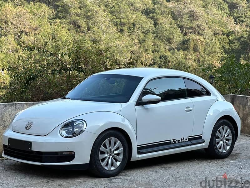 Volkswagen new beetle 2013 8