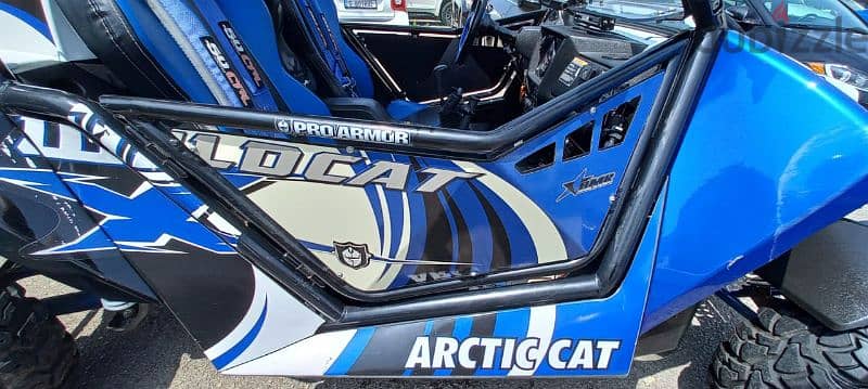 Arctic Cat 11