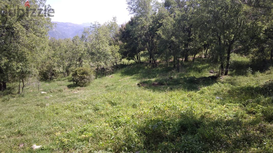 L12164-2300 SQM Land for Sale With Great Mountain View in Bikfaya 1