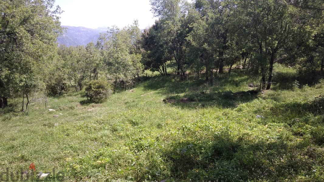 L12165-Land With A Great Mountain View for Sale in Bikfaya 1
