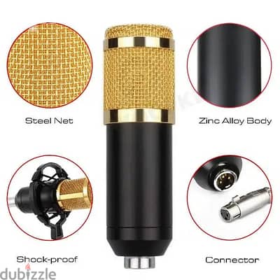 BM800 microphone