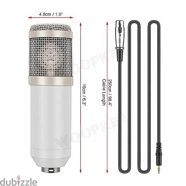 BM800 microphone 2