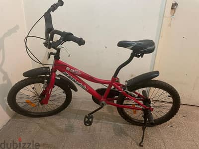 Red bicycle for kids