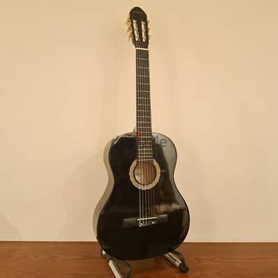 karl Shnider classical guitar