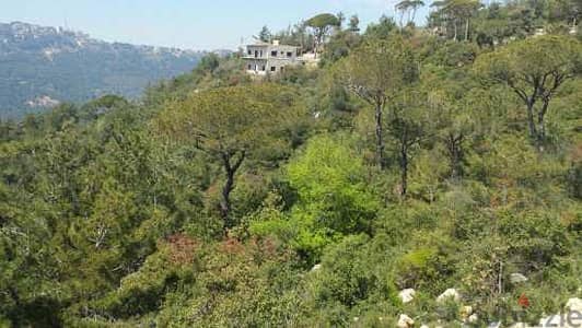 Land for Sale in Bolonia