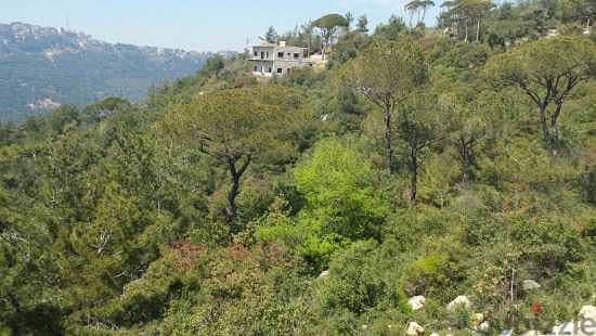 Land for Sale in Bolonia 0