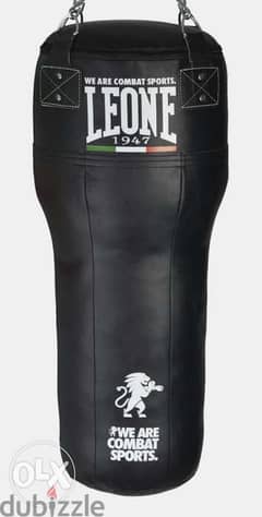 New Boxing Bags 0