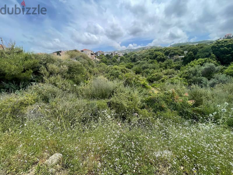 RWB220/A - Land for sale in Kfaraabida - Batroun ارض للبيع في كفرعبيدا 3