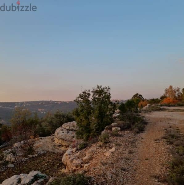 Chouf عقار رائع منطقة فلل صك اخضر طريق رئيسي زيتون مثمر 3