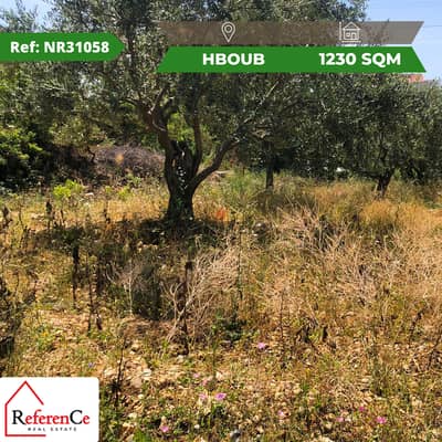 Land for sale in hboub أرض للبيع في حبوب