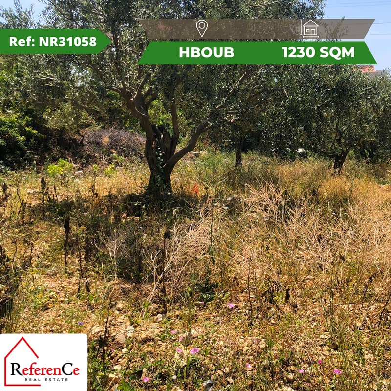 Land for sale in hboub أرض للبيع في حبوب 0