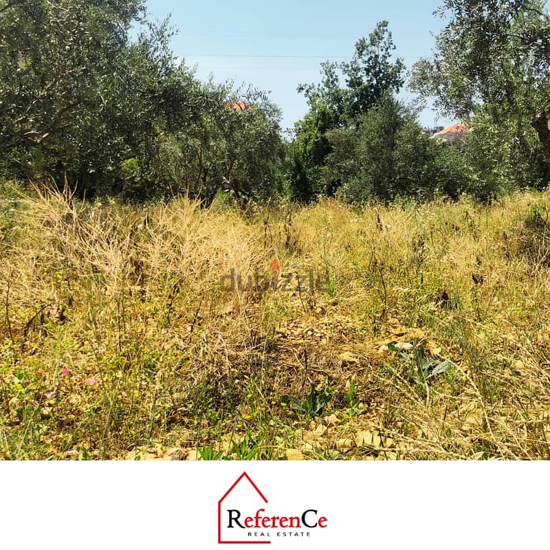 Land for sale in hboub أرض للبيع في حبوب 1