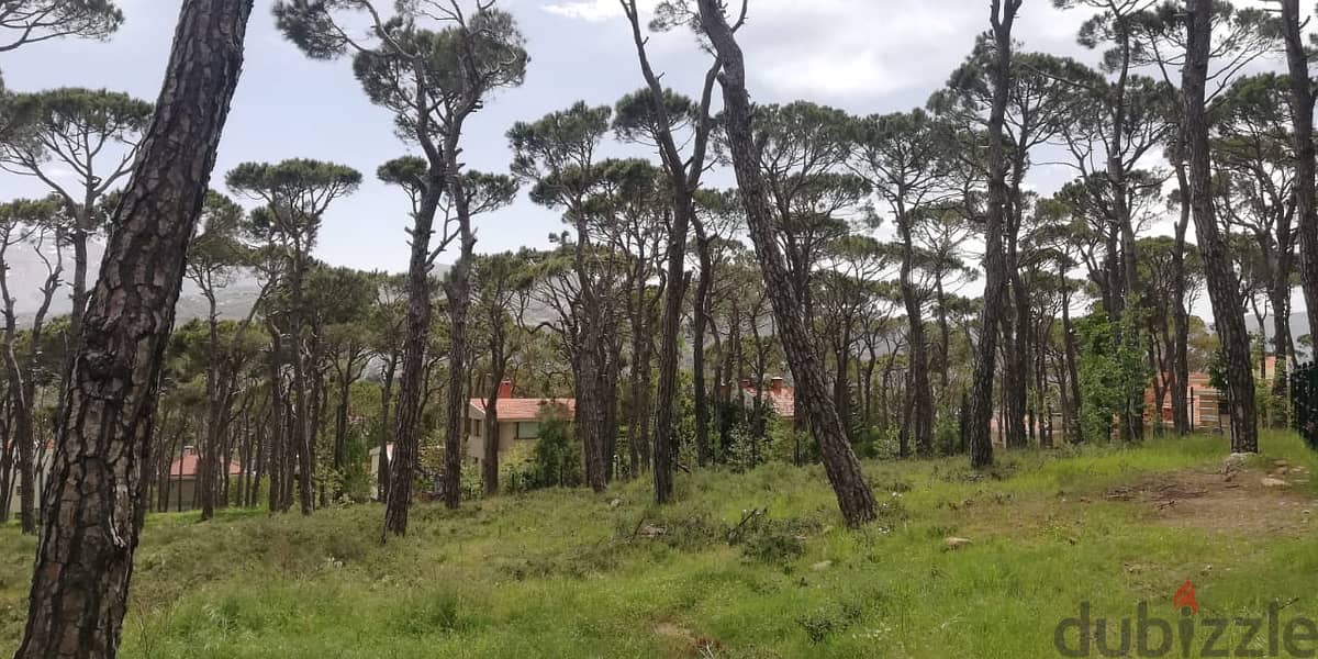 L12332-A Unique Land With Amazing Green View for Sale In Bolonia 1