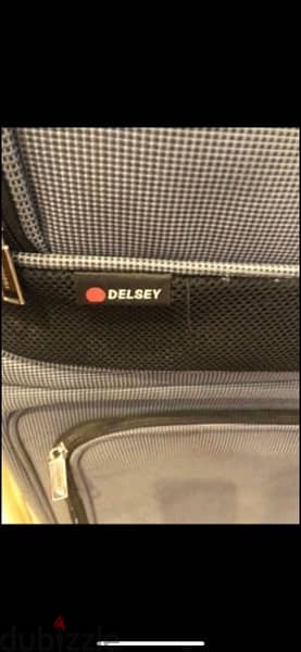 DELSEI luggage 1