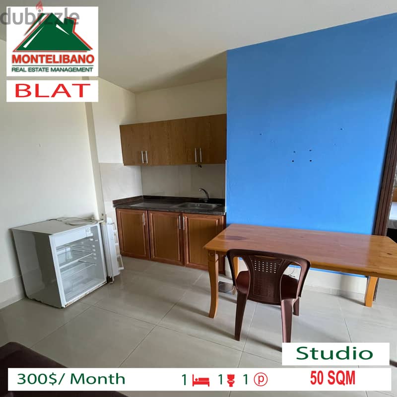 Studio for rent in BLAT!!! 1