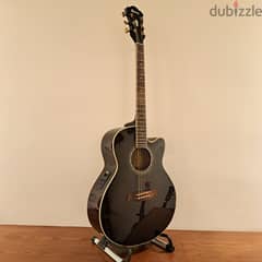 Ibanez Electro Acoustic Guitar 0
