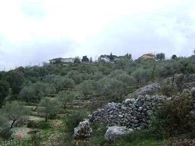 Land for sale in jbeil/El kherbe with 80 olives tree