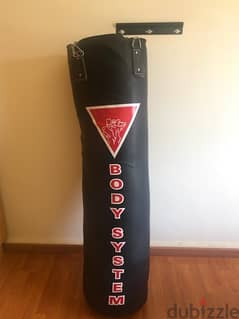 Body System boxing bag