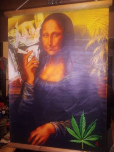 Mona Lisa funny recreation on canvas 67*50cm