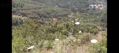 1000 Sqm | Land for sale in Rabweh|Mountain panoramic view