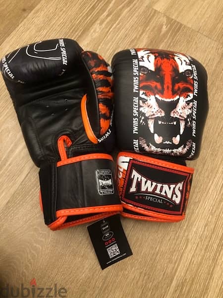 Boxing Gloves 12 oz 1