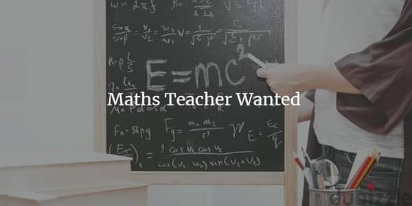 Professional Math & physics teacher for all classes