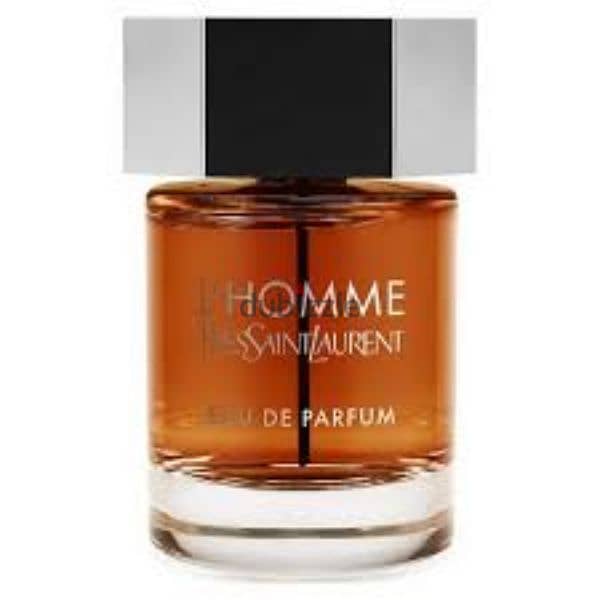 l'homme Ysl 0