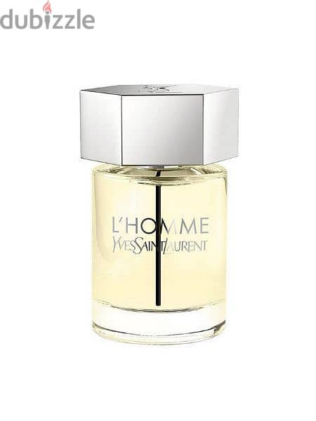 l'homme Ysl 2