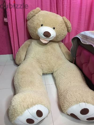 teddy bear 200 cm for 75$