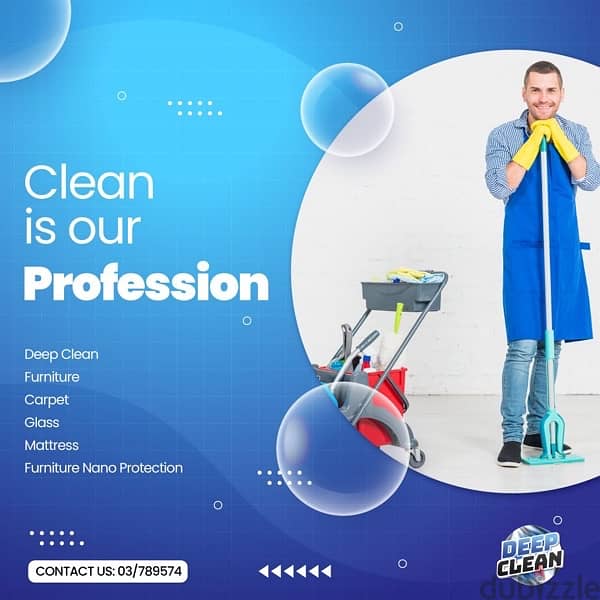 Professional CLeaners 5