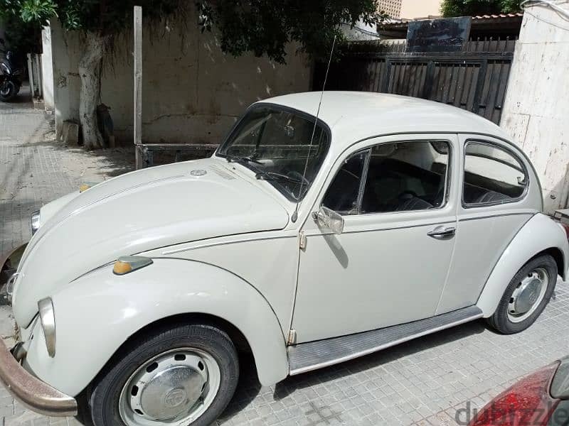 classic beetle 3