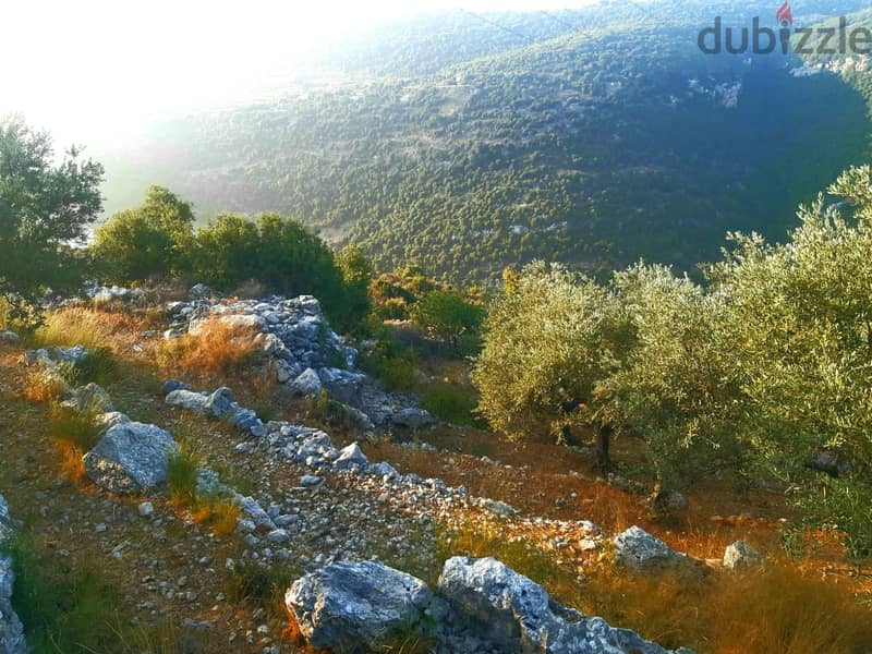 L12475- A 3826 SQM Land for Sale In Kherbe - Jbeil 1