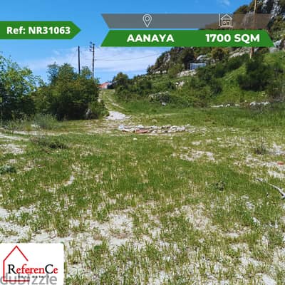 Land for sale in Aanaya ارض للبيع في عنايا