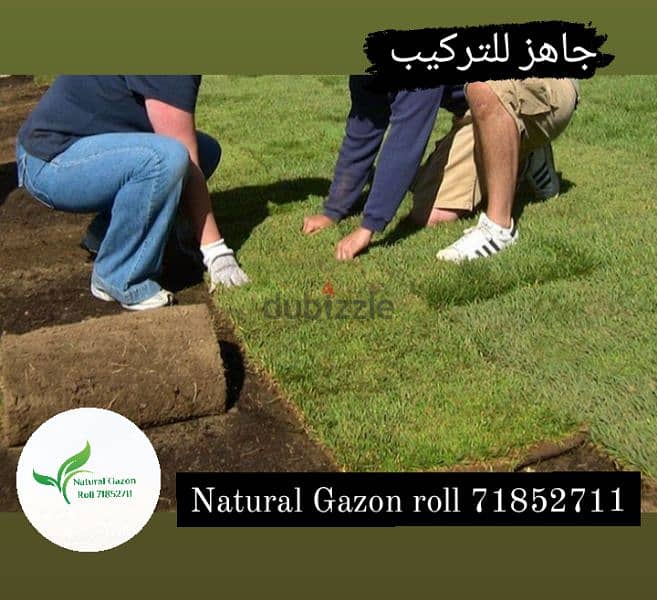 Natural Gazon Roll 1