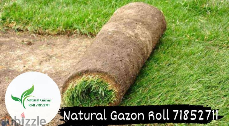 Natural Gazon Roll 3
