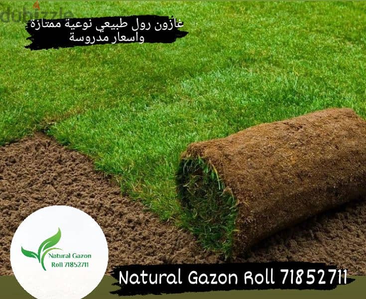 Natural Gazon Roll 4