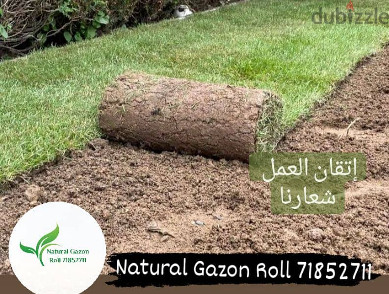 Natural Gazon Roll 5