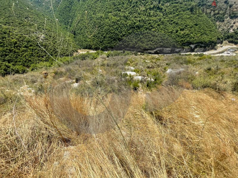 9100 sqm Land located in Jbeil for Sale! REF#RF93317 4