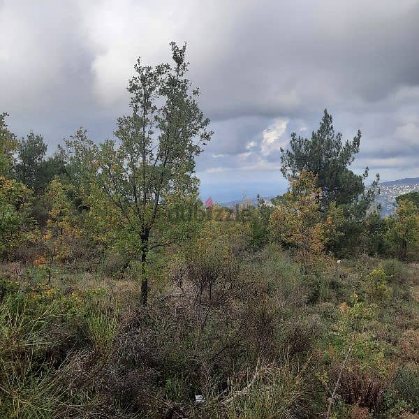land 3000m2 open view rent 1