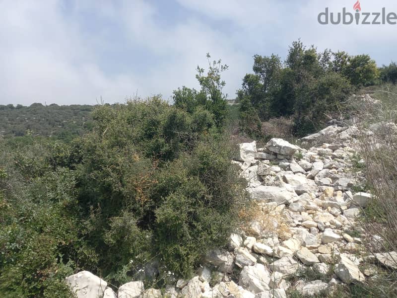14,334m2 land+open sea view for sale in Bekhaaz 2
