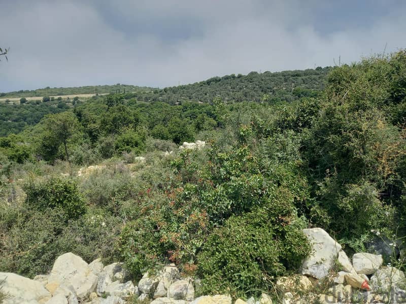 14,334m2 land+open sea view for sale in Bekhaaz 3