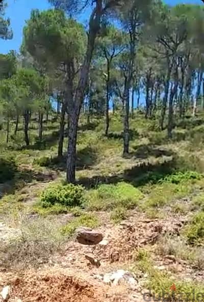 1460 Sqm Land for sale in Douar (Talet Tamraz) Mountain view