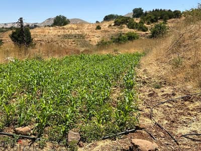 887m2 land + open view for sale in Laqlouq, أرض للبيع في اللقلوق