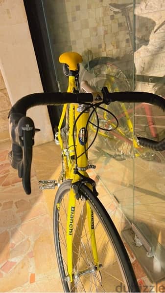 bianchi gold race made in italy 5