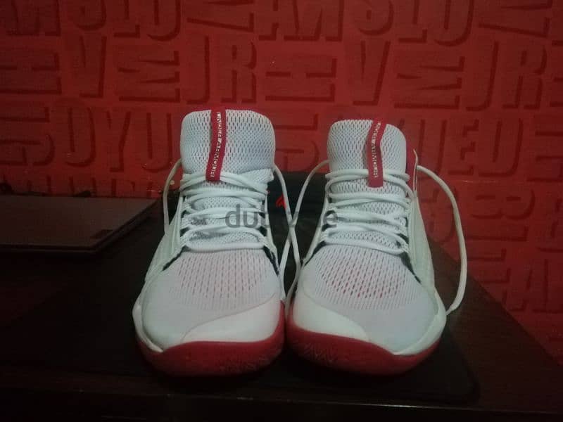 basketball shoes 2
