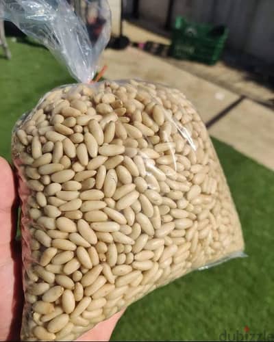 صنوبر بلدي Lebanese Pine Nuts