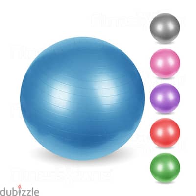 Fitness Art Gym ball