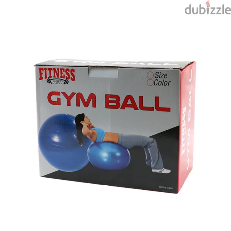 Fitness Art Gym ball 1