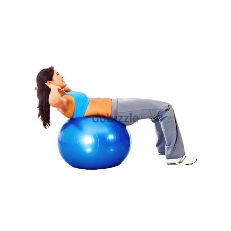 Fitness Art Gym ball 5